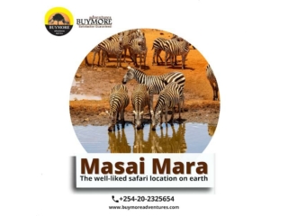The Best Masai Mara Luxury Safari