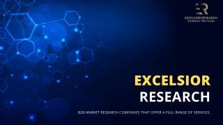 Excelsior Research