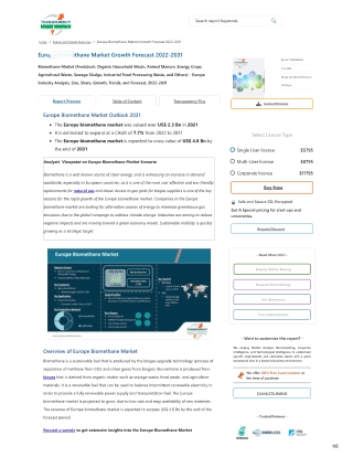 Europe, India, and Southeast Asia Metallurgical Coke Market Outlook 2031