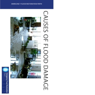 Causes of Flood Damage