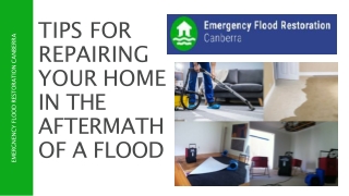 Tips for repairing your home in the aftermath of a flood