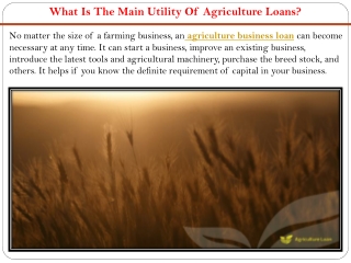 What Is The Main Utility Of Agriculture Loans?