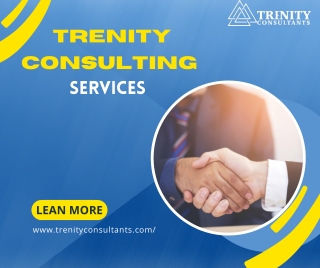 Trenity Consulting Service