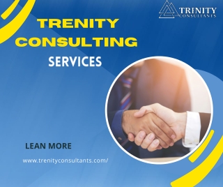 Trenity Consulting service