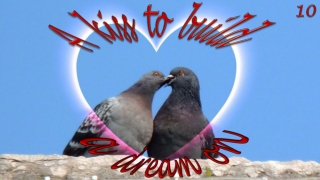 A kiss to build a dream on10
