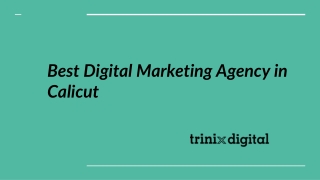 Best Digital Marketing Agency in Calicut