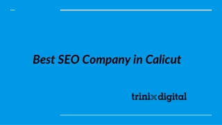 Best SEO Company in Calicut, Kerala
