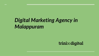Digital Marketing Agency in Malappuram