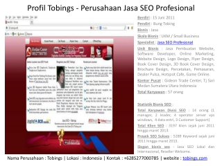 Profil Tobings - Perusahan Jasa SEO Profesional