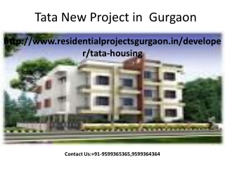 Tata New Project