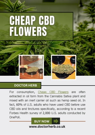 Cheap CBD Flowers - Doctor Herb