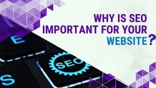 Why SEO Is important for your website?