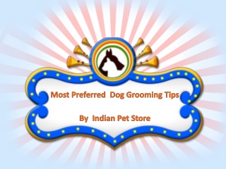 Most Preferred Dog Grooming Tips