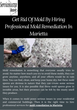 Get The Best Mold Remediation In Marietta For Your Residential Property