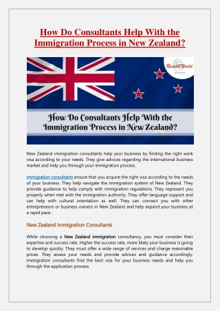 How Do Consultants Help With the Immigration Process in New Zealand?