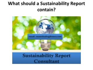 What should a Sustainability Report contain