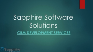 CRM Development Services