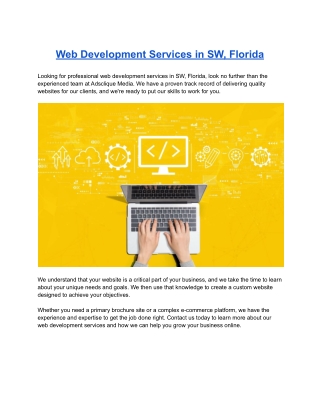 Web Development Services in SW, Florida