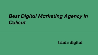 Best Digital Marketing Agency in Calicut