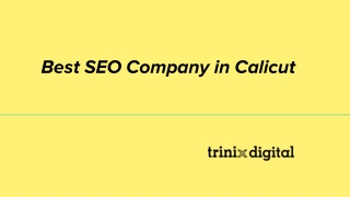 Best SEO Company in Calicut