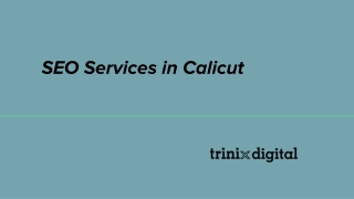 Best SEO Service Company in Calicut