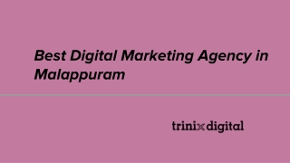 Best Digital Marketing Agency in Malappuram