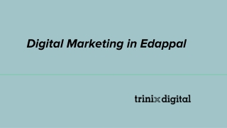 Digital Marketing in Edappal | Trinix Digital