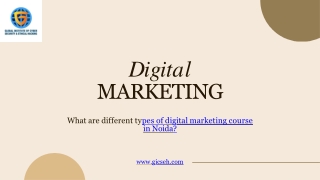 What are different types of digital marketing course in noida?