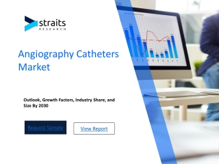 Angiography Catheters Market