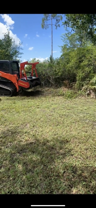 Land Clearing and Forestry Mulching Naples FL