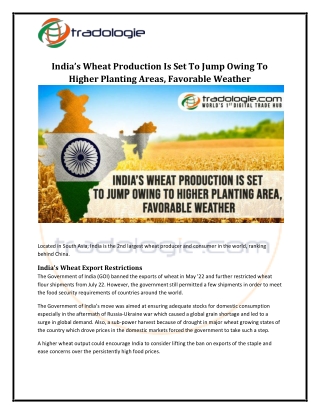 India’s Wheat Production Is Set To Jump Owing To Higher Planting Areas, Favorable Weather