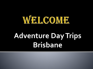 The Best Sightseeing tours in Brisbane City