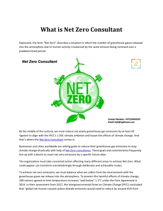 What is Net Zero Consultant