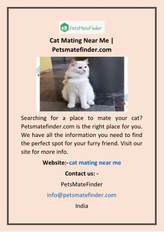 Cat Mating Near Me | Petsmatefinder.com