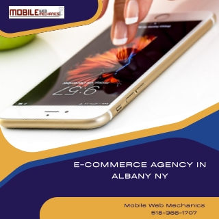 E-Commerce Agency in Albany NY