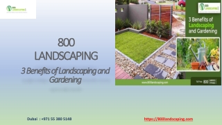 3 Benefits of Landscaping and Gardening