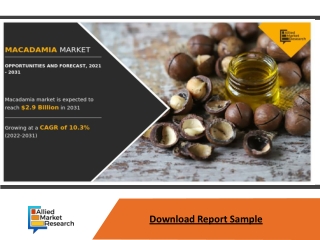 Cat Food Market Expected to Reach $ 41,924.6 million by 2030-Allied Market Resea