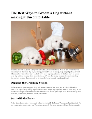 The Best Ways to Groom a Dog without making it Uncomfortable