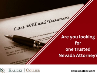 Trust and Probate Litigation