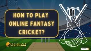 How to Play Online Fantasy Cricket? - Golden444