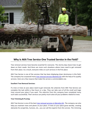 Why Is AKA Tree Service One Trusted Service in the Field