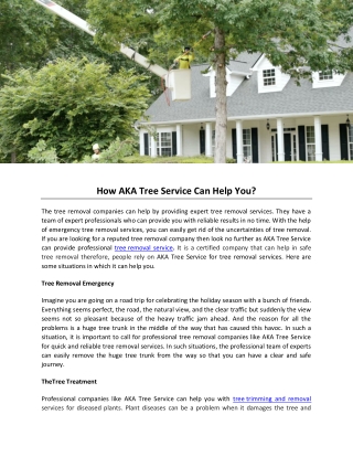 How AKA Tree Service Can Help You