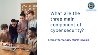 What are the three main component of cyber security course in Noida.