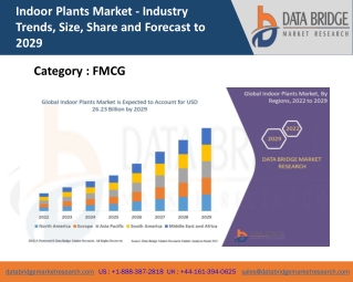 Indoor Plants Market : Research insights, Features, Opportunities and Challenges