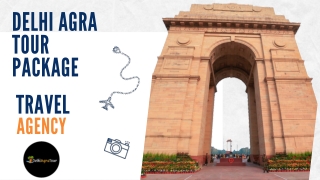 The Delhi Agra Tour Package – Travel Agency