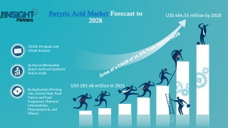 Butyric Acid Market Growth Drivers, Business Opportunities, and Demand Forecast