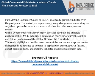 Ornamental Fish Market report