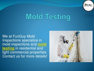 Mold Testing