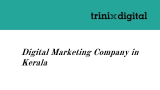 Digital Marketing Company in Kerala