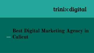Best Digital Marketing Agency in Calicut